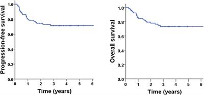 A Prospective Phase II Study of Pegaspargase-COEP Plus Radiotherapy in Patients With Newly Diagnosed Extra-Nodal NK/T-Cell Lymphoma